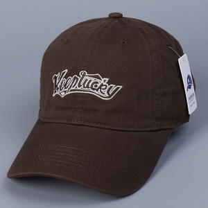Detailed macro view of 3D letter embroidery and premium cotton twill on a brown cap