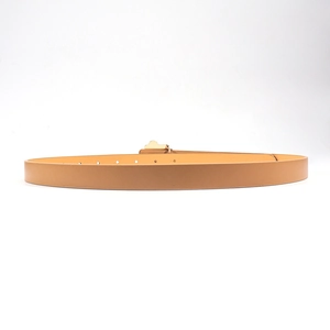 Detail of camel PU leather belt with gold metal buckle and fine texture for dresses