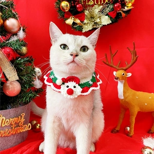 White cat wearing a red and green knitted Christmas collar with a crochet Santa Claus detail