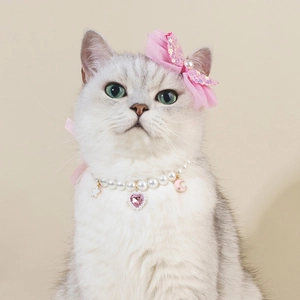 Pet Necklace And Hair Clip Faux Artificial Pearl Heart Star Moon Charms Ribbon Bowknot Accessories For Cats Dogs Puppy Kitten Sweet