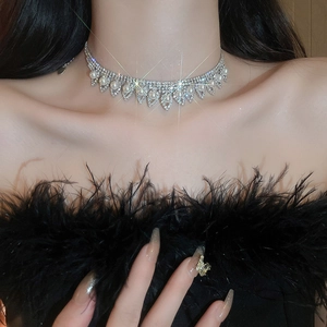 Détail d'un collier ras du cou argenté avec strass, perles et franges en forme de V