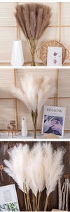Close-up of fluffy brown and white artificial pampas grass in a boho home decor setting