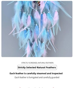 Detail of pink and blue natural feathers with white beads on the dream catcher