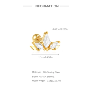 Detail specifications of S925 sterling silver crown earring with AAAAA cubic zirconia