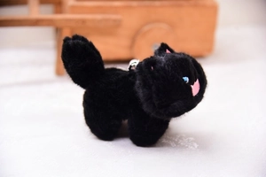 Close-up of a small black plush cat keychain with blue eyes and a silver metal bell