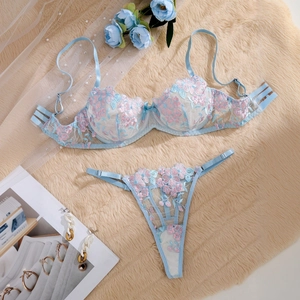 Detailed embroidery of pink and blue flowers on light blue lace lingerie set with mesh