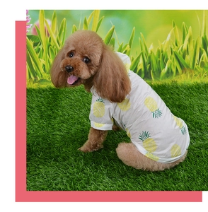 Detail view of breathable white pet hoodie with yellow pineapple print on artificial grass