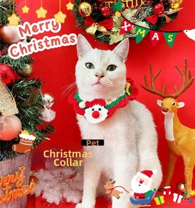 Detail of hand-knitted Christmas pet collar with Santa Claus crochet for cats and dogs