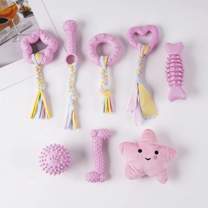 Detail von 8-teiligem rosa Haustierspielzeug-Set mit TPR-Kauspielzeug und Plüschstern