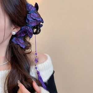 Dettaglio della molletta a farfalla ricamata viola con eleganti nappine lunghe