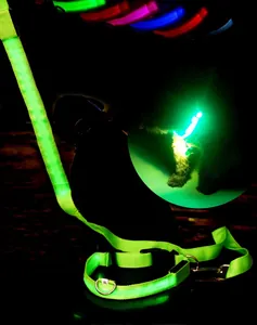 Détail macro du collier pour chien à LED verte avec sangle en nylon et boucle de sécurité
