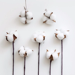 Natural Dried Cotton Flower Stems For Vase Filler Rustic Home Decor Fluffy Cotton Branches Christmas Floral Arrangement