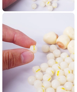 Macro shot of miniature PVC lotus seeds for DIY dollhouse crafts and food accessories