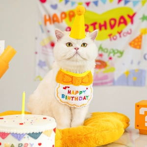 Pet birthday party set with yellow embroidery bib and plush hat for cats and dogs
