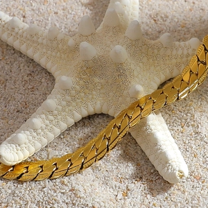 Close-up of polished 18K gold plated stainless steel chunky chain on white starfish