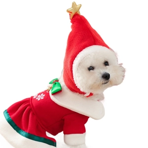 Dog Christmas costume set with red velvet dress and gold star santa hat on white puppy