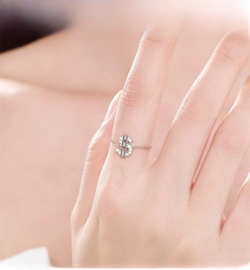 Detailed macro view of S925 sterling silver dollar sign chain ring with pave zircon stones