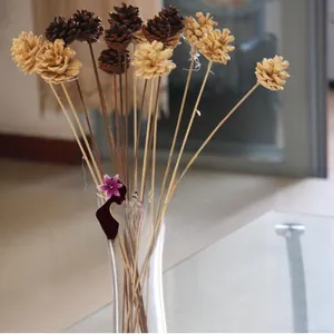 Artistic dried pine cone flowers in a glass vase for rustic home decor and floral arrangements