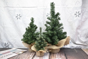 Three mini Christmas trees with burlap bases in different sizes on a rustic wooden table