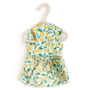 Detail of mint green pet dress with lemon prints and white buttons on a pearl hanger