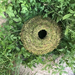 Spherical green natural moss ring for DIY Christmas wreaths and garden decoration