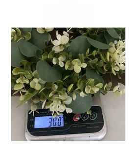 Detailed weight measurement showing approximately 300g for the eucalyptus leaf wall decor