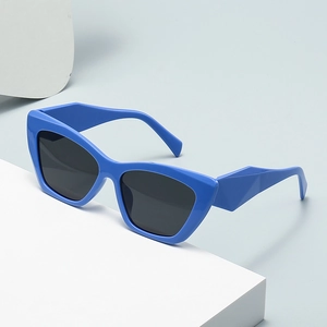 Vintage Cat Eye Sunglasses UV400 Protection Plastic Frame Geometric Design Fashion Sun Glasses For Women Men
