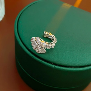 Dettaglio dell'orecchino a clip in argento con zirconi su cofanetto verde