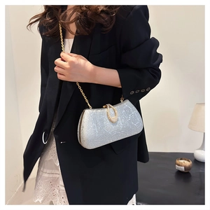Silver chain evening bag with textured matte finish and gold-tone metal hardware detail