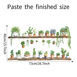 Detailed size specifications for watercolor succulent wall decals with wooden shelves
