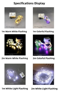 Detail view of LED string lights showing 3 flashing modes and warm white color options