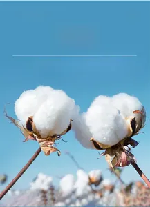 Macro shot of pure natural cotton fibers for disposable pet towels against a blue sky