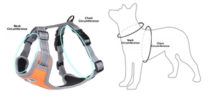 Detail showing measurement guide for dog harness with reflective straps and buckle