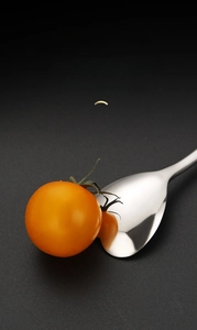 Macro view of mirror-polished 304 stainless steel spoon with smooth rounded edges