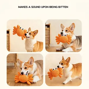 Juguete para perro con forma de cangrejo naranja y sonido mostrado jugando con un perro Corgi