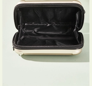 Internal view of gold hard shell mini trunk bag with mesh pockets and zipper divider