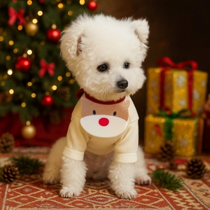 Cute beige pet Christmas sweater with reindeer patch and festive holiday decorations