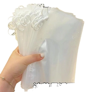 Transparent minimalist pencil case organizer with white plastic zip ring pull for storage