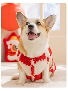 Detail der rot-weißen Fleece-Festtagskleidung für Corgi-Hunde im Karomuster