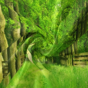Dettaglio ravvicinato dell'arazzo forestale con alberi verdi e trama di tessuto morbido