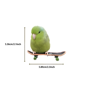 Detail showing dimensions of a green parrot on a mini skateboard animal sticker