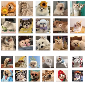 Detail grid of 27 creative cartoon cat and dog stickers for notebooks and water bottles