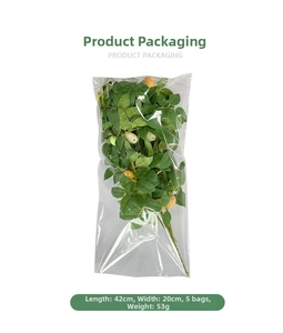 Detail of 42cm artificial Easter egg stem in packaging with size and weight info
