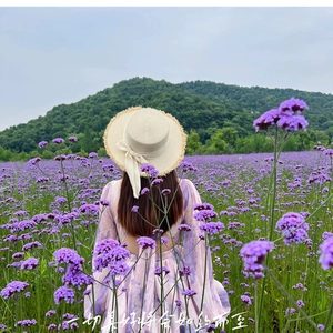 Detail of light straw sun hat featuring a large cream ribbon bow and fringe trim edge