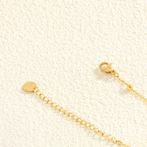 Collier en acier inoxydable doré poli avec fermoir mousqueton et chaîne réglable