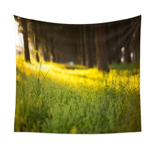 Bohemian forest wall tapestry featuring sunbeams over green grass for home decor