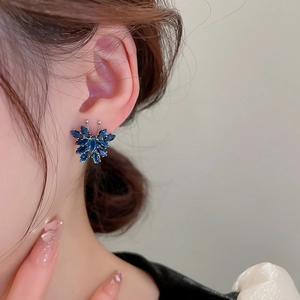 Primo piano di eleganti orecchini a farfalla blu scuro con zirconi a taglio marquise