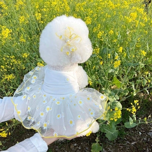 Hundesommerkleid mit gelbem Gänseblümchen-Netzrock und passendem Blumenhaarschmuck