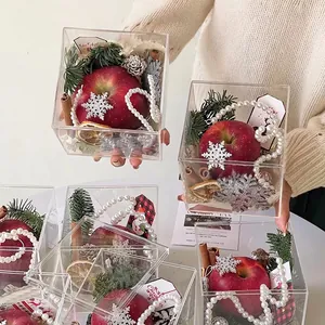 Clear acrylic Christmas gift box with apple, pine cones, and festive DIY ornaments