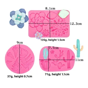 Détails des dimensions des moules en silicone succulentes et cactus pour décor de gâteau